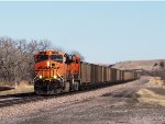 BNSF 5901